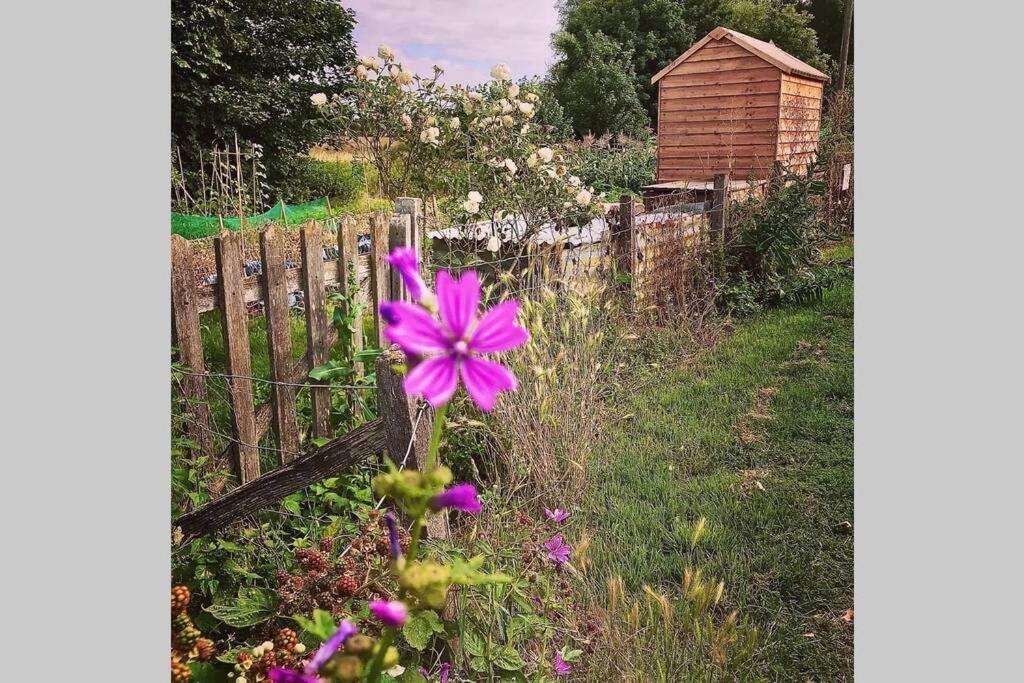 Melford Allotment Shed-Vintage Lodge Suffolk Long Melford Bagian luar foto